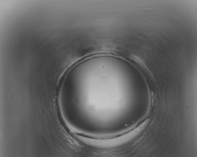 X0000061151260200511241821