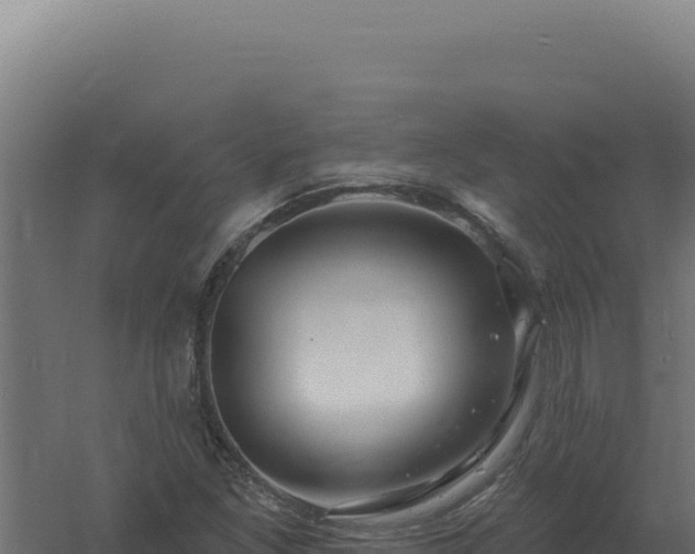 X0000061151261200511241821