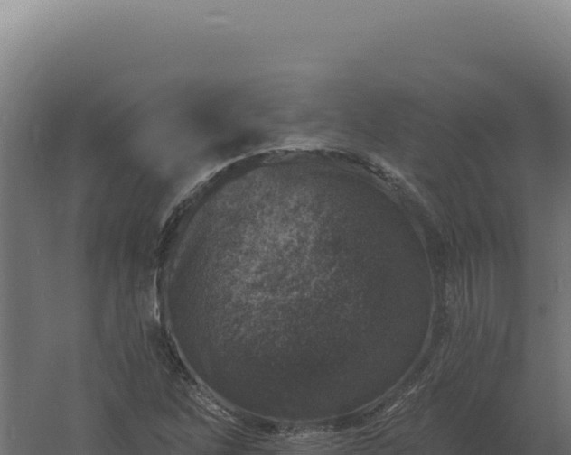 X0000061151262200511241821