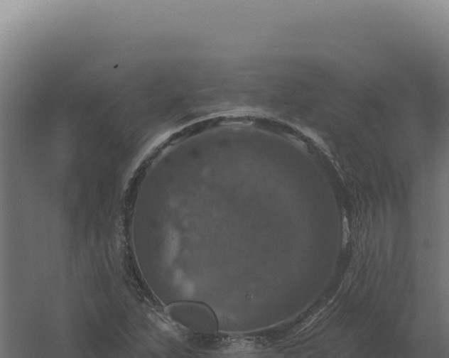 X0000061151263200511241821