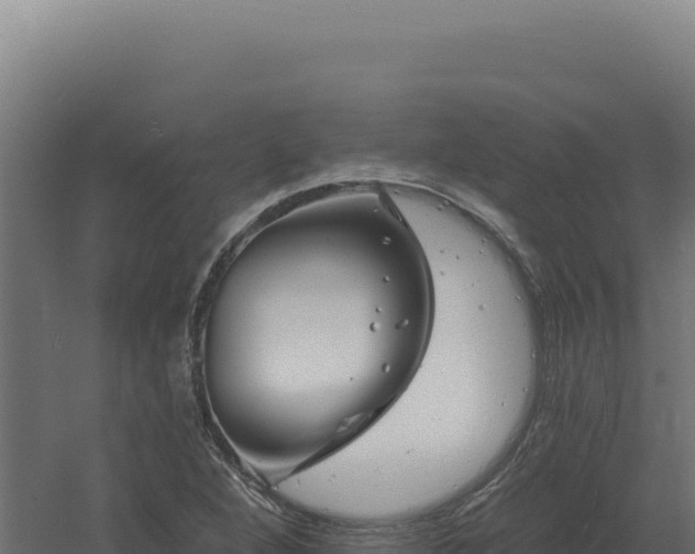 X0000061151264200511241821