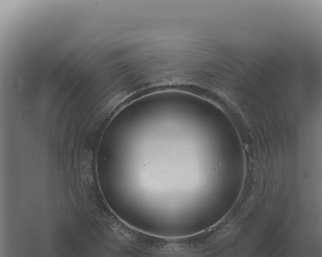 X0000061151265200511241821