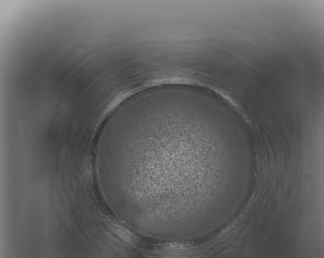 X0000061151266200511241821