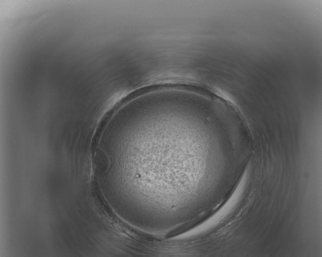 X0000061151267200511241821