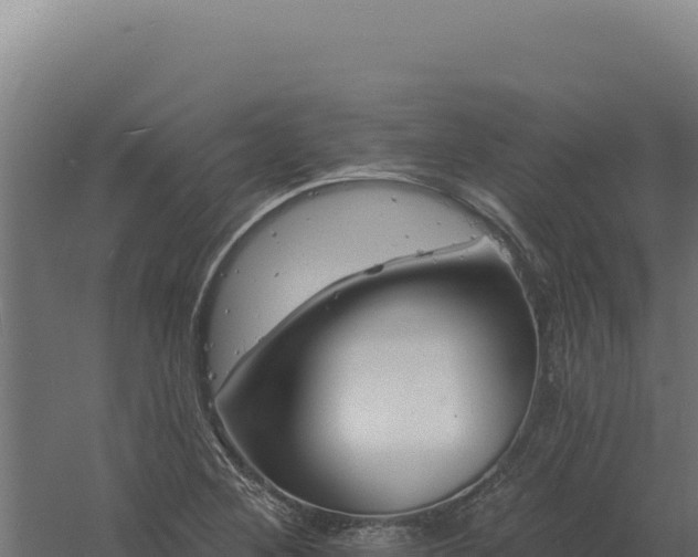 X0000061151268200511241821