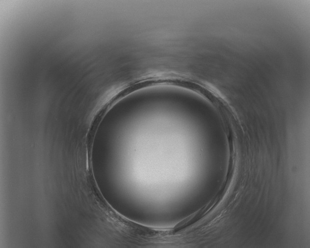 X0000061151269200511241821