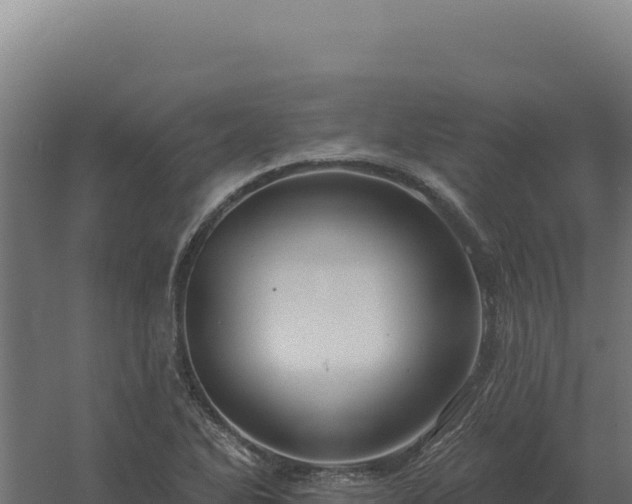 X0000061151270200511241821