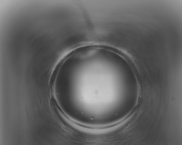 X0000061151271200511241821