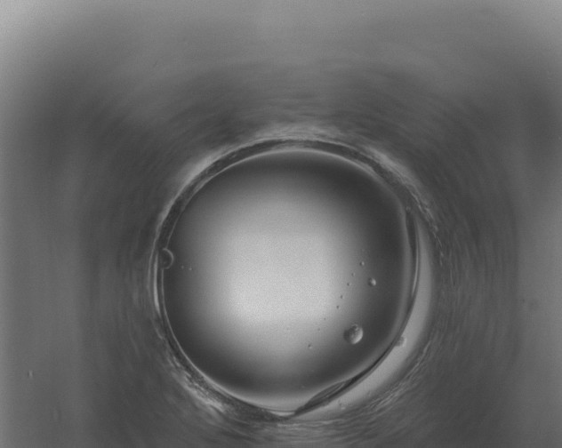 X0000061151272200511241821