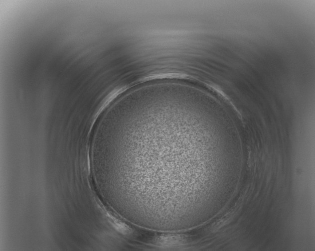 X0000061151274200511241821