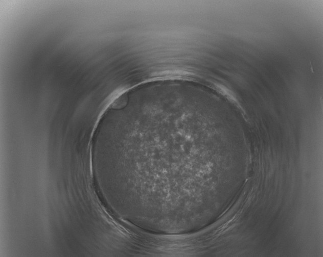 X0000061151275200511241821