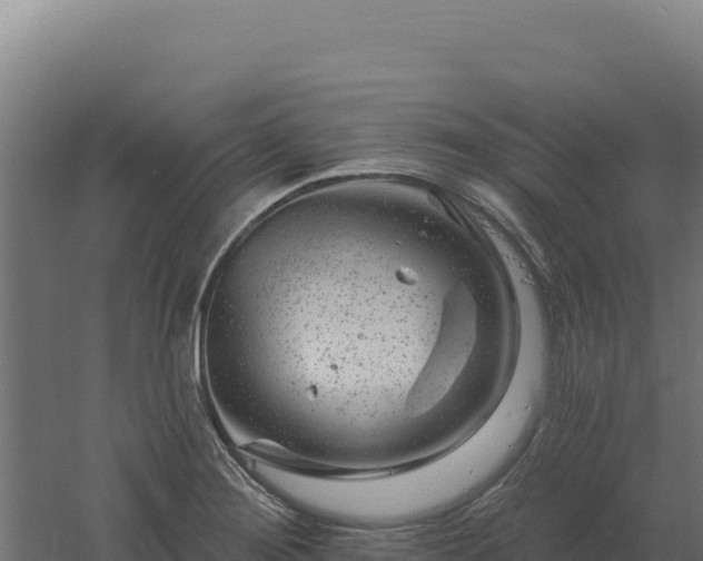 X0000061151276200511241821