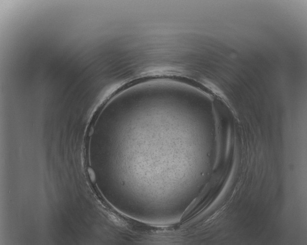 X0000061151277200511241821