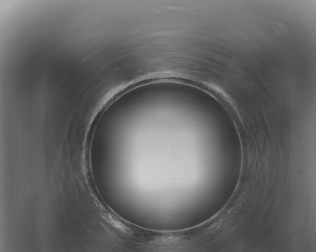 X0000061151278200511241821