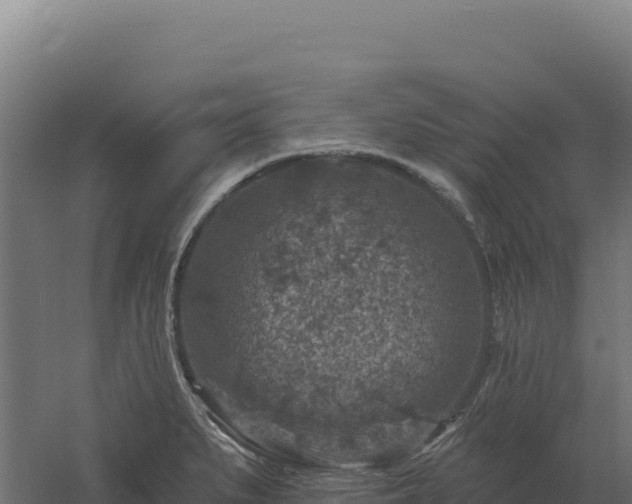 X0000061151279200511241821