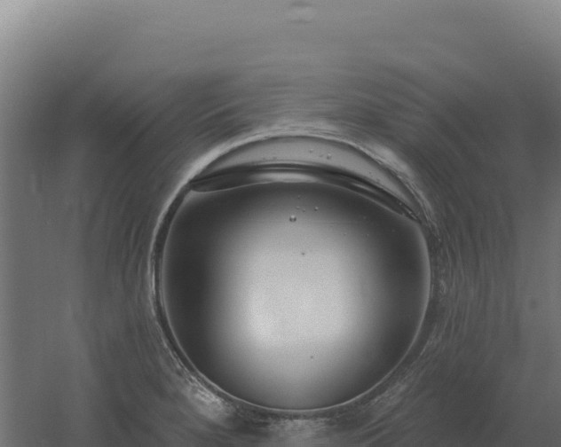 X0000061151280200511241821