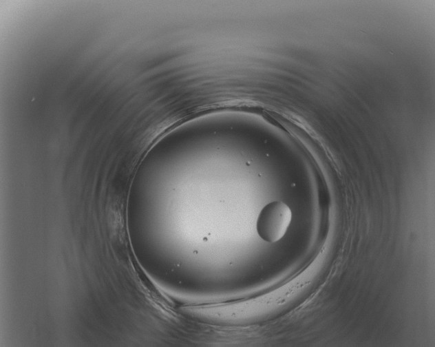 X0000061151281200511241821