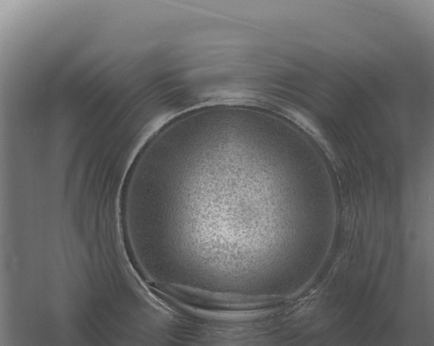 X0000061151283200511241821