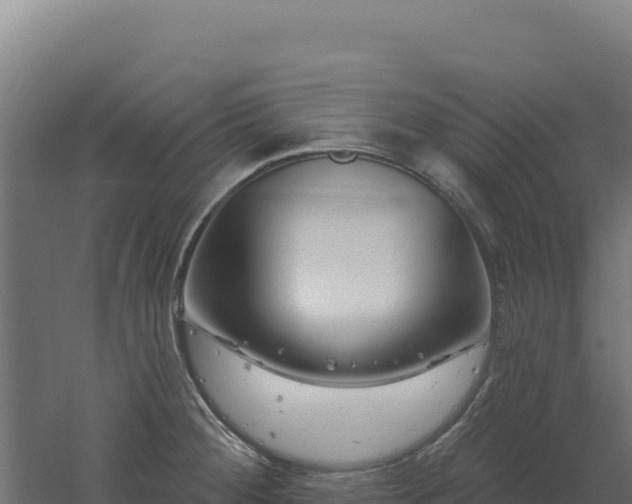 X0000061151284200511241821