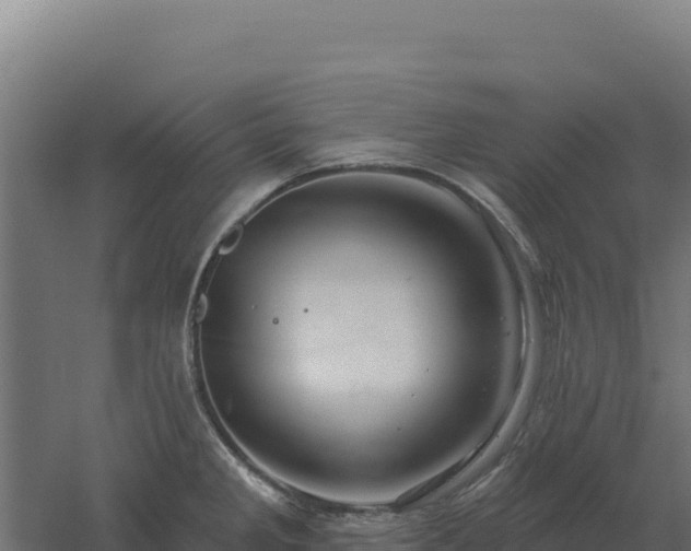 X0000061151285200511241821