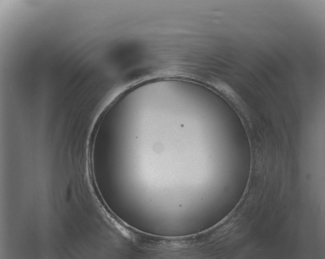 X0000061151286200511241821