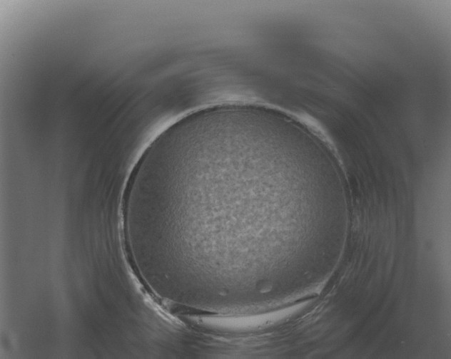 X0000061151287200511241821