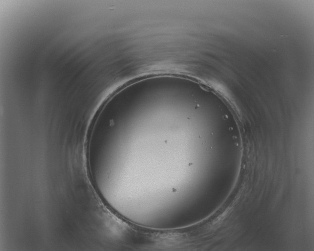 X0000061151288200511241821