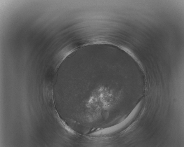 X0000061151289200511241821