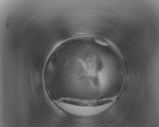 X0000061151291200511241821