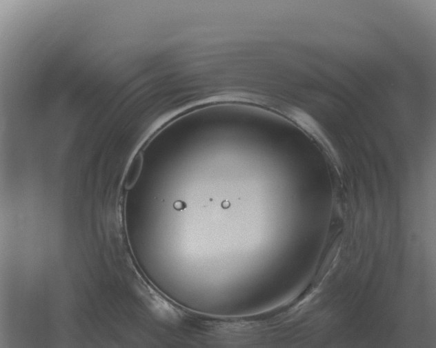 X0000061151292200511241821