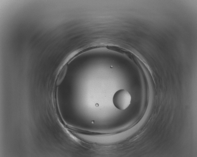 X0000061151293200511241821