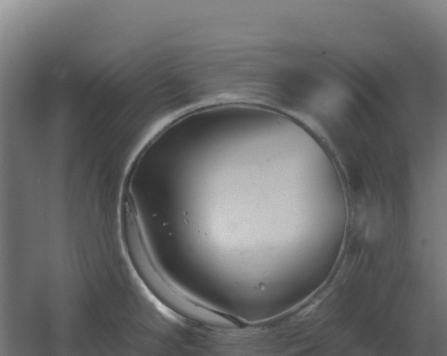 X0000061151294200511241821