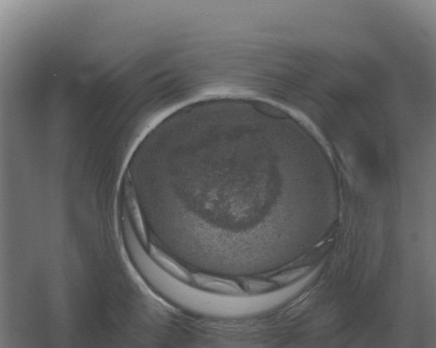 X0000061151295200511241821