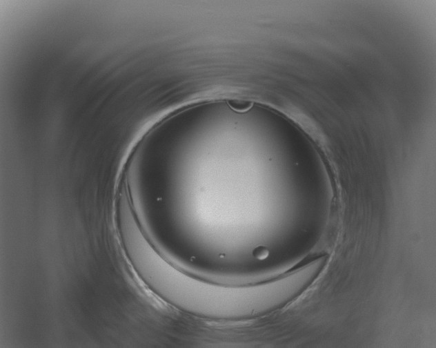 X0000061151296200511241821