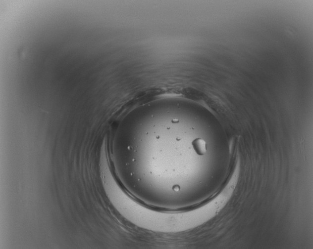 X0000061151298200511241820