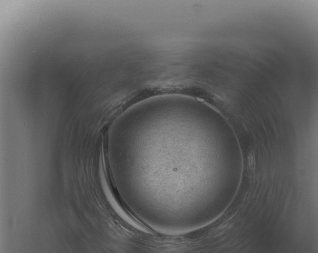 X0000061151300200511241820