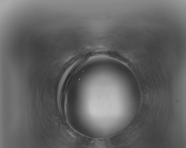 X0000061151301200511241820