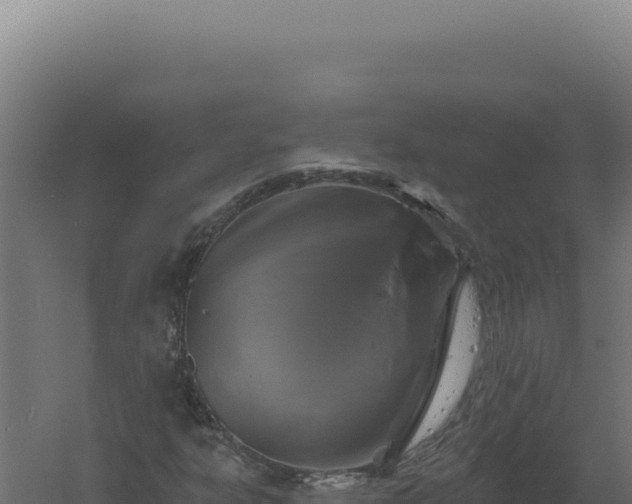 X0000061151303200511241820