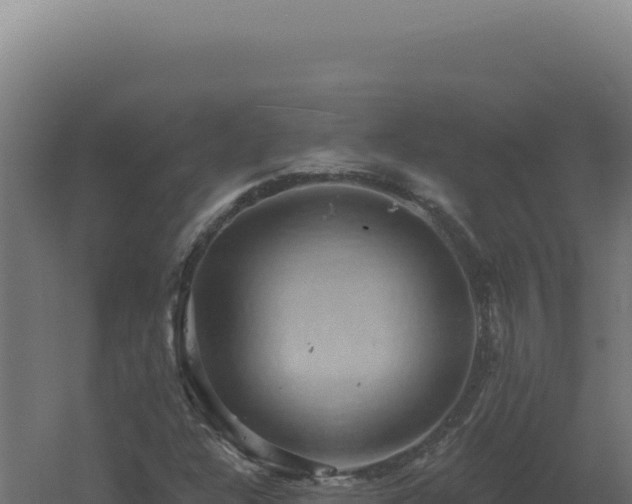 X0000061151304200511241820