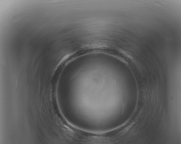 X0000061151306200511241820