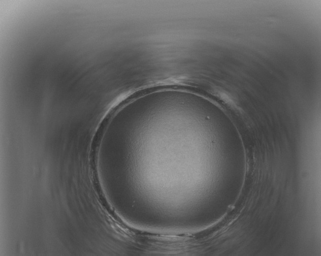 X0000061151308200511241820