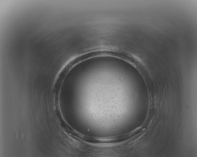 X0000061151310200511241820