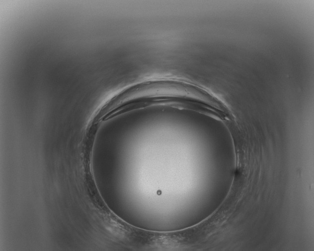 X0000061151311200511241820