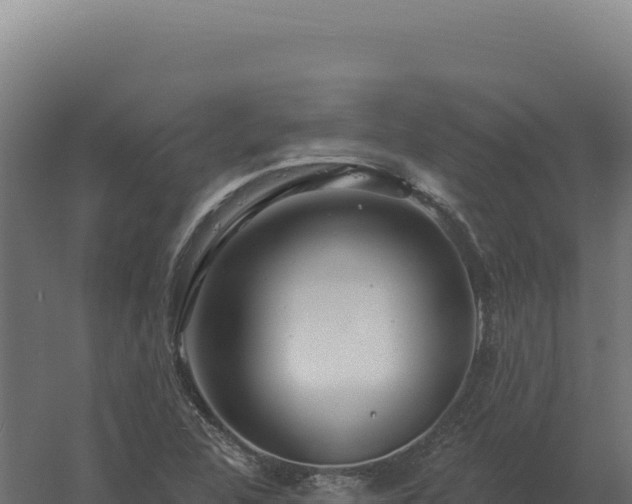 X0000061151312200511241820