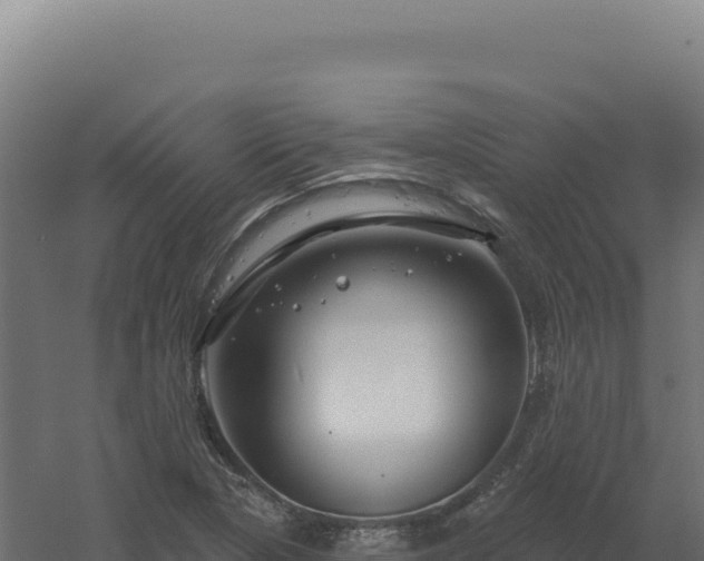 X0000061151313200511241820