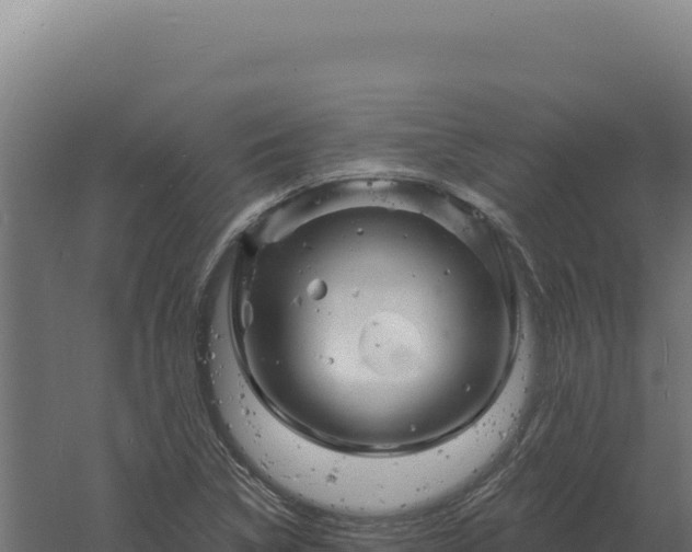 X0000061151314200511241820