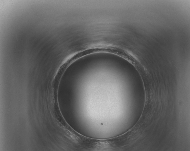 X0000061151315200511241820