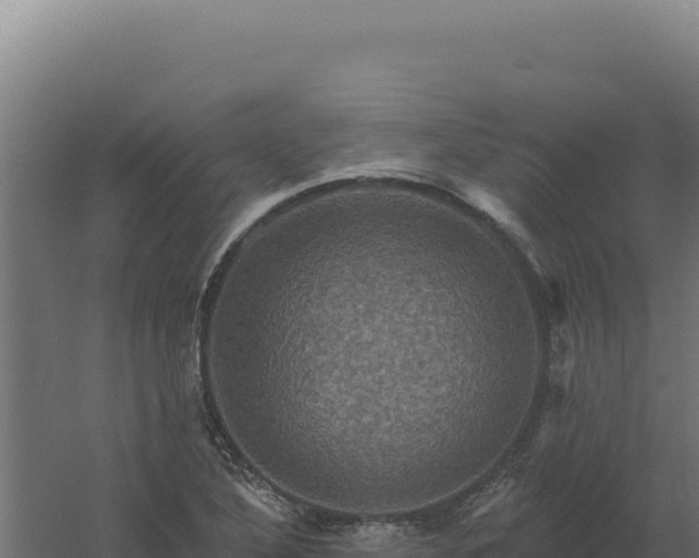 X0000061151316200511241820