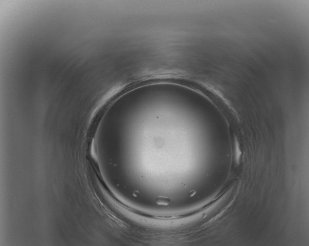 X0000061151317200511241820