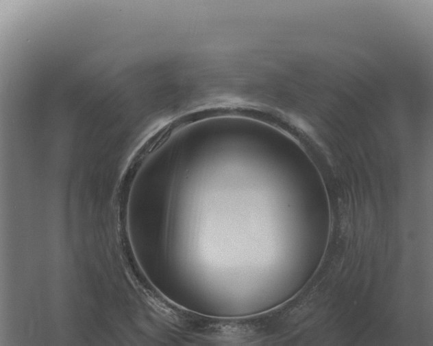 X0000061151318200511241820